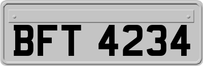 BFT4234