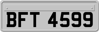 BFT4599