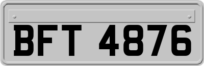 BFT4876