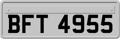 BFT4955