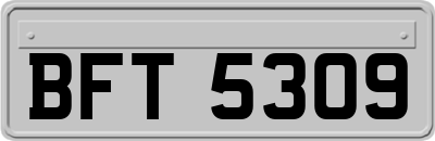 BFT5309