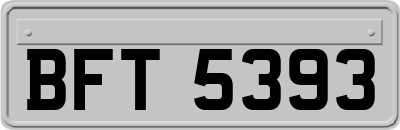 BFT5393