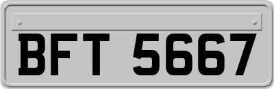 BFT5667