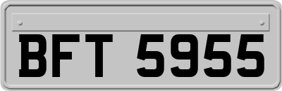 BFT5955