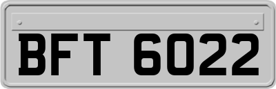 BFT6022