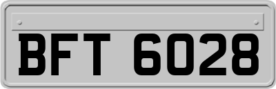 BFT6028