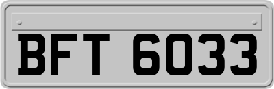 BFT6033