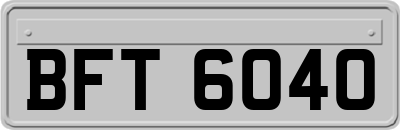 BFT6040