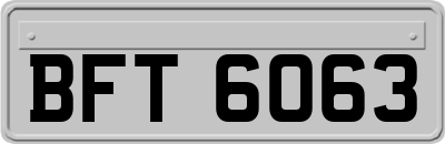 BFT6063