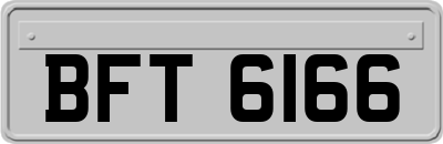 BFT6166