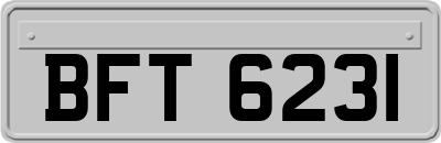 BFT6231