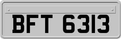 BFT6313