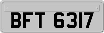 BFT6317