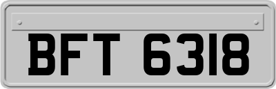 BFT6318