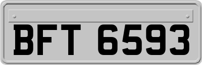 BFT6593