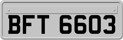 BFT6603
