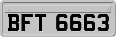 BFT6663