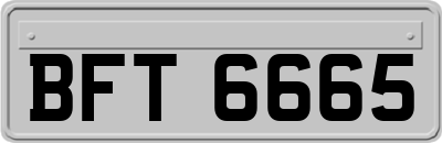 BFT6665