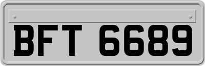 BFT6689