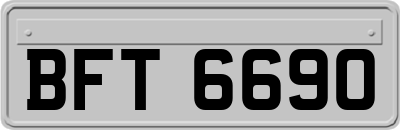 BFT6690
