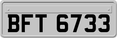 BFT6733