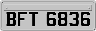BFT6836