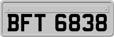 BFT6838