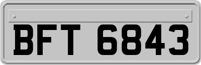 BFT6843
