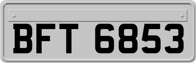 BFT6853