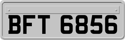 BFT6856