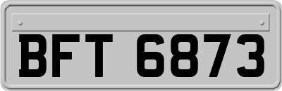 BFT6873