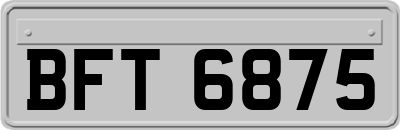 BFT6875