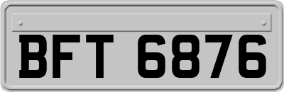 BFT6876