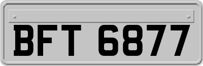 BFT6877