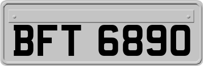 BFT6890