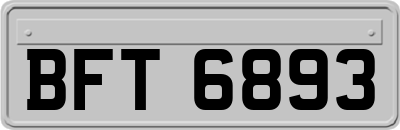 BFT6893