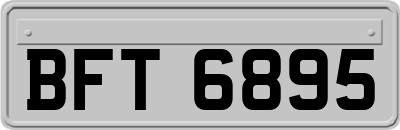 BFT6895