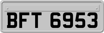 BFT6953