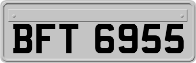 BFT6955