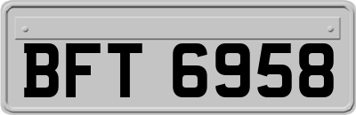 BFT6958