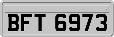 BFT6973