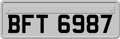 BFT6987