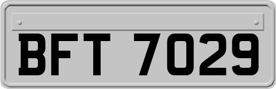 BFT7029