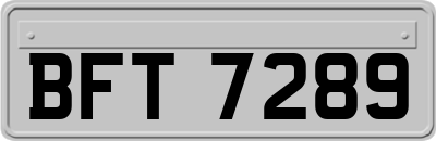 BFT7289