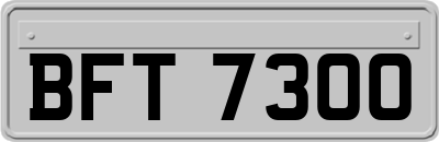 BFT7300