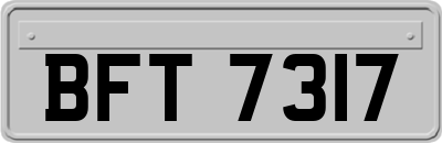 BFT7317
