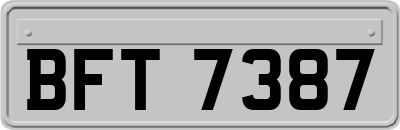 BFT7387