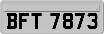 BFT7873