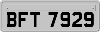 BFT7929