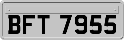 BFT7955